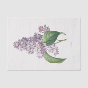 Lilac Flower Floral Flowers Decoupage Tissue Paper