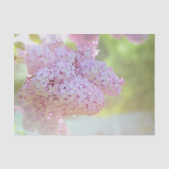 Lilac Flower Light Purple Beautiful Country Tissue Paper (Front)