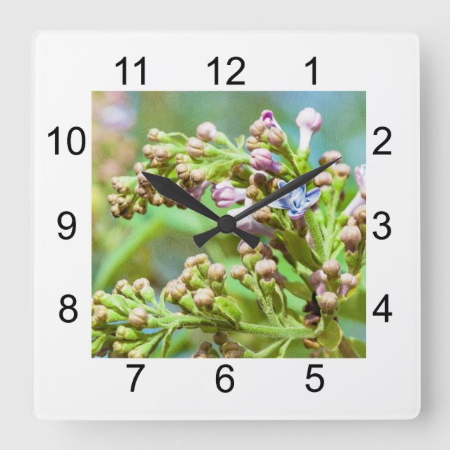 Lilac Flower - Primus Inter Pares Square Wall Clock (Front)