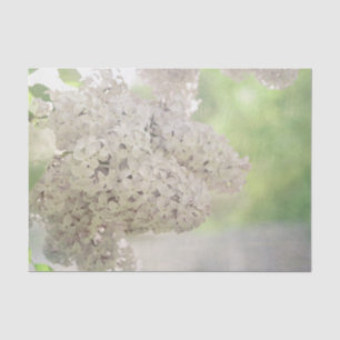 Lilac Flower Soft White Country Botanical Tissue Paper