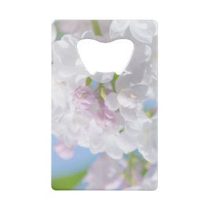 Lilac Flowers