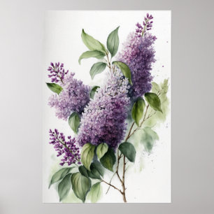 Lilac Flowers Art Print Poster