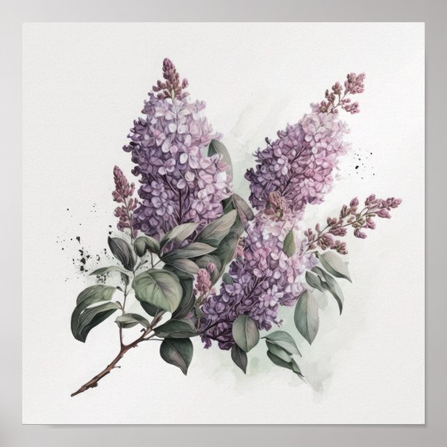 Lilac Flowers Art Print Poster  (Front)