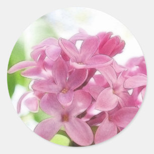 Lilac Flowers In The Morning Sunlight Classic Round Sticker
