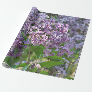 Lilac flowers wrapping paper