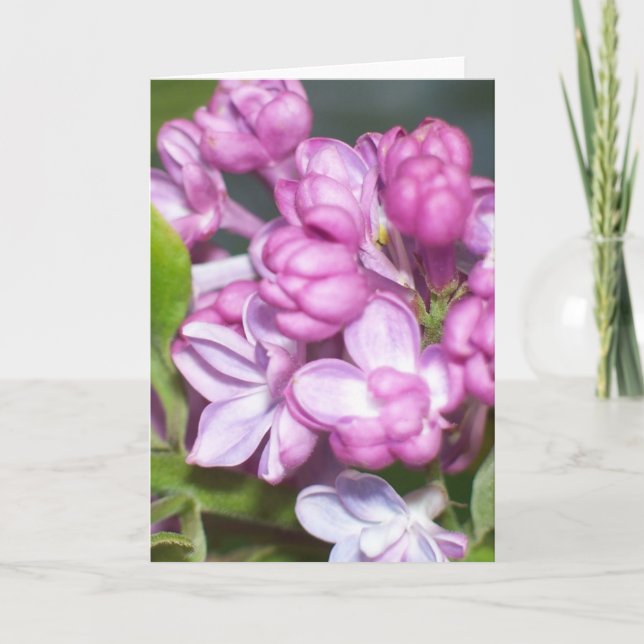 Lilac greeting card (Front)