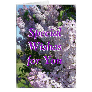 Lilac in bloom-customise for any occasion