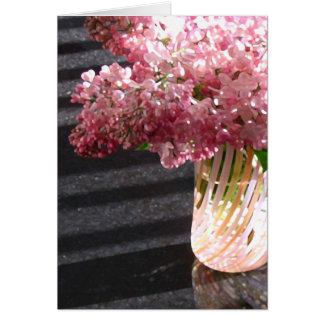 Lilac 'Maiden's Blush'