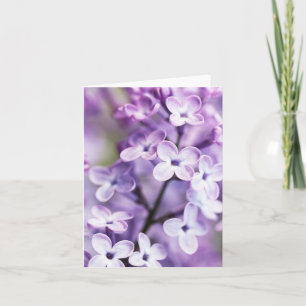 Lilac Note Cards