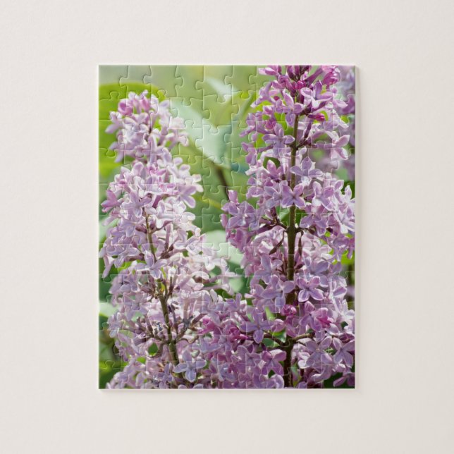 Lilac P5390 Puzzle (Vertical)
