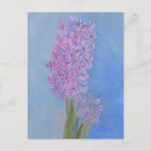 Lilac Pink Hyacinth Flower painting Postcard