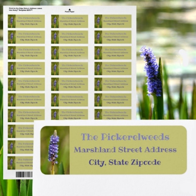 Lilac Purple Pickerelweed Flower Botanical Floral (Creator Uploaded)