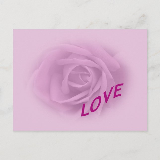 Lilac Rose for Love Postcard (Front)