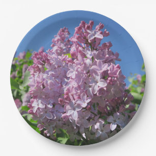 lilac, spring, blossom, purple, nature, floral,  paper plate