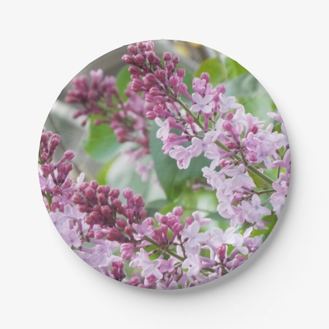 Lilac Spring paper Plates (Front)