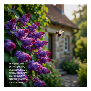 Lilac Symbolism Poster