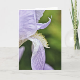 Lilac Toned Iris Artistic Note Card