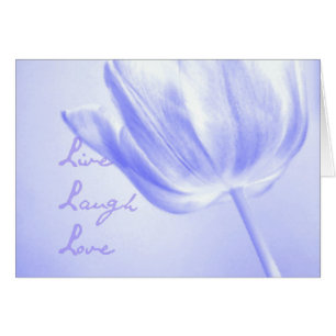 Lilac Tulip Live, Laugh, Love