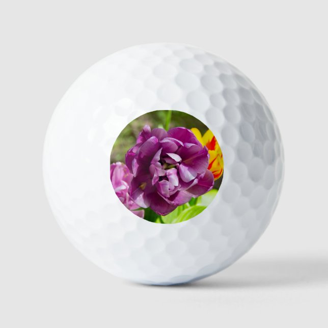 Lilac tulips on a sunny day    golf balls (Front)