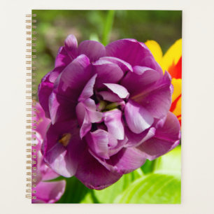 Lilac tulips on a sunny day    planner