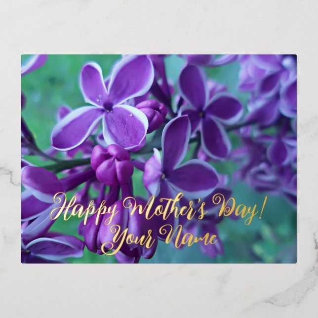 Lilac variety of colours  foil holiday postcard (Front)