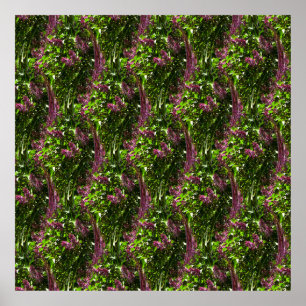 Lilac waterfalls.... poster