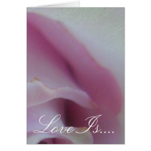 Lilac Wedding Rose