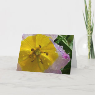 Lilac Wonder Tulip, card
