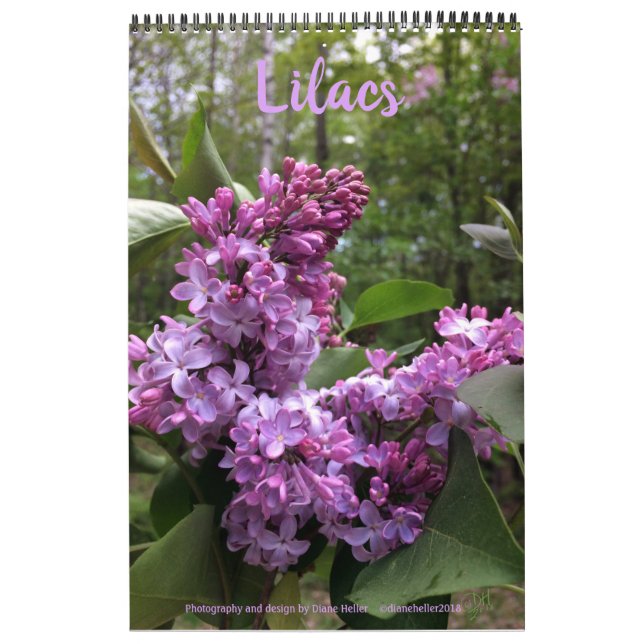Lilacs---ALL LILACS!!  photo calendar (Cover)