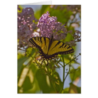 Lilacs and Butterfly