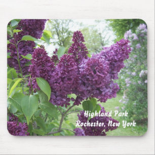 Lilacs at Highland Park Mouse Mat