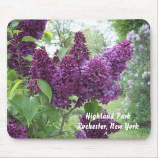 Lilacs at Highland Park Mouse Mat