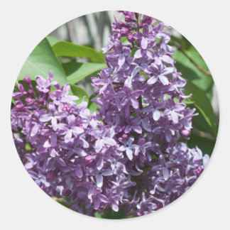 Lilacs Classic Round Sticker