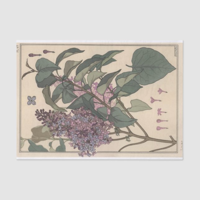 Lilacs, Eugene Grasset Botany Series Tissue Paper (Front)