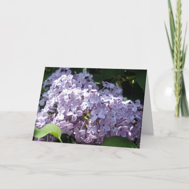 Lilacs in Full Bloom Card (Front)