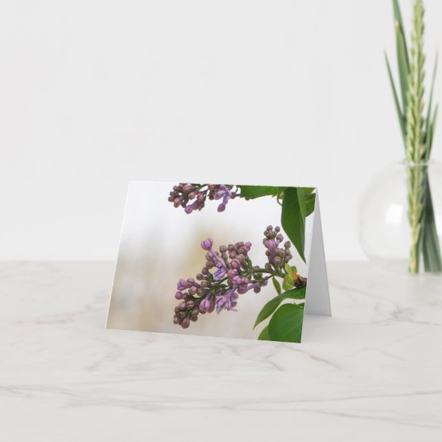Lilacs in the Spring Card (Front)