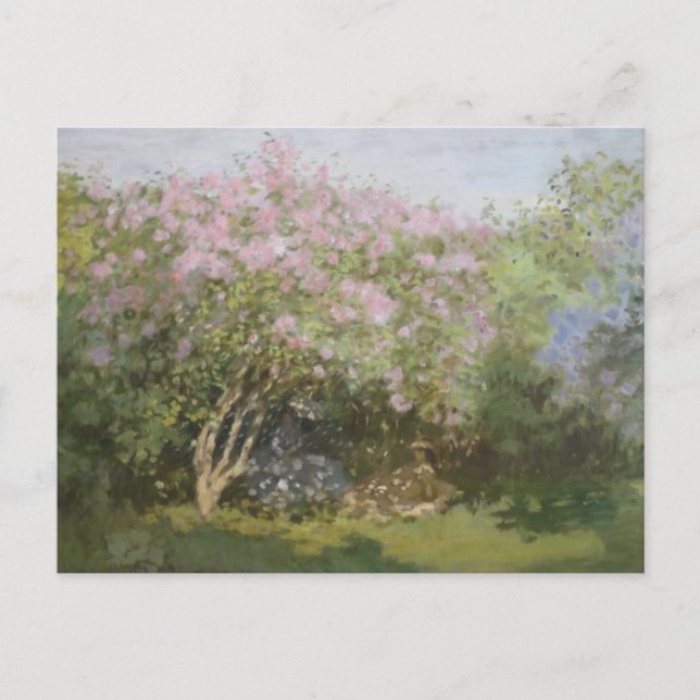 Lilacs in the Sun by Claude Monet Postcard (Front)