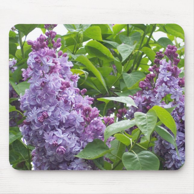 Lilacs Mousepad (Front)
