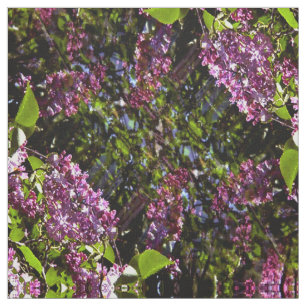 Lilacs on the wall... fabric