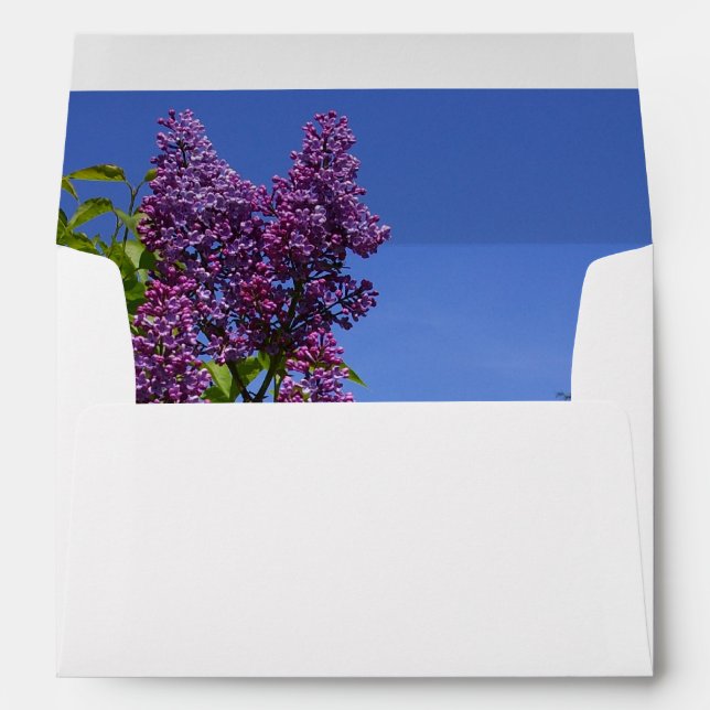 lilacs & sky, your return address, greeting card envelope (Back (Bottom))