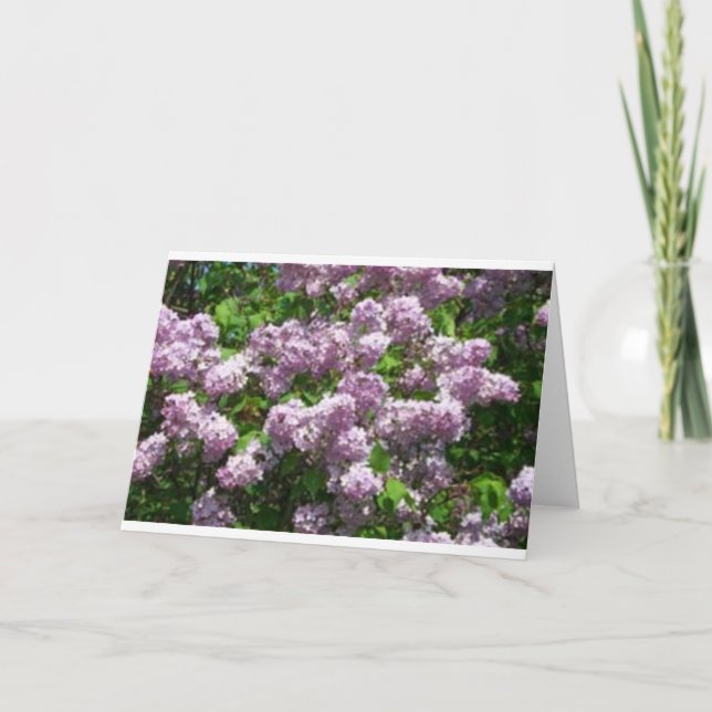 Lilacs Thank You Card (Front)