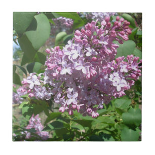 Lilacs Tile