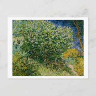 Lilacs, Vincent van Gogh Postcard