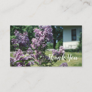Lilacs Vintage Lilac Bush at Home Business Card