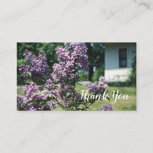 Lilacs Vintage Lilac Bush at Home Business Card (Front)