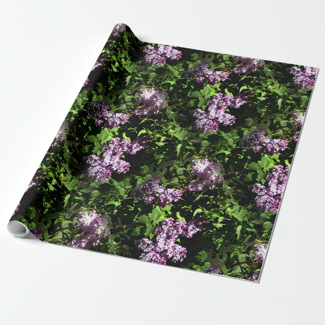 Lilacs....... Wrapping Paper (Unrolled)