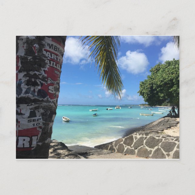 L'île Maurice - Trou aux Bîches Postcard (Front)