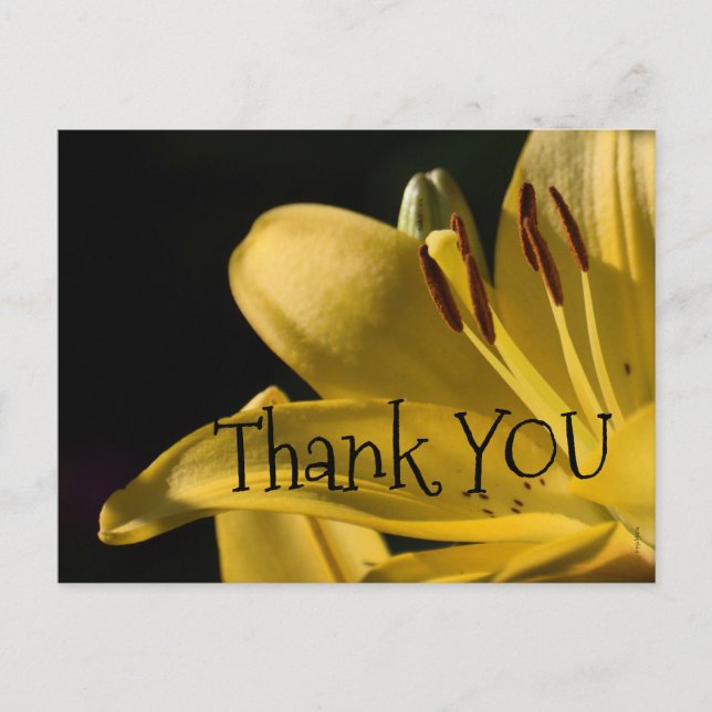 *'LiLi-Yellow' Design, Postcard (Front)