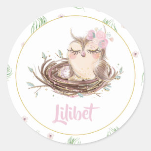 Lilibet Owl Baby Girl Shower Classic Round Sticker