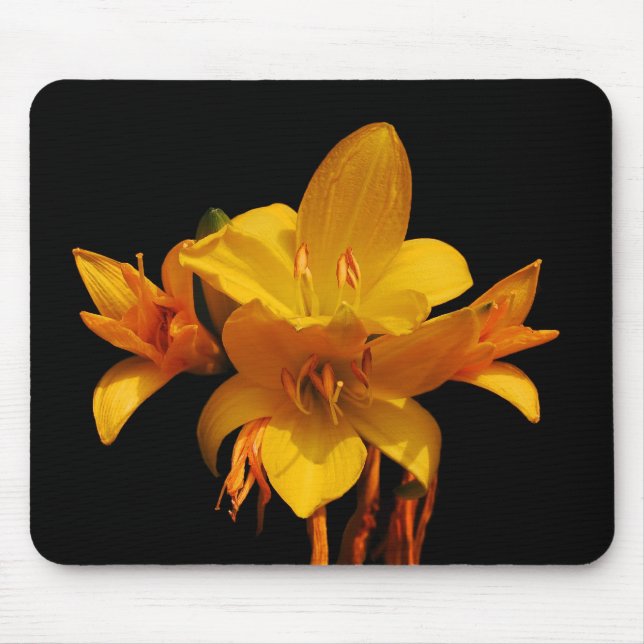 Lilien Mouse Mat (Front)